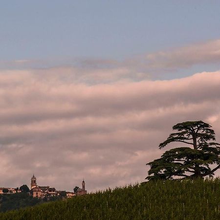 Villa Goccia Di Vino La Morra Exterior photo